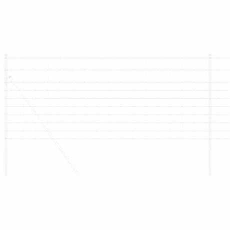 Vidaxl wilde hek warm verzinkt 1000 x 100 x 0.18 cm ijzer
