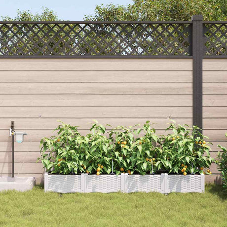 Vidaxl plantenbak 4 st wit 160 x 40 x 22 cm pp