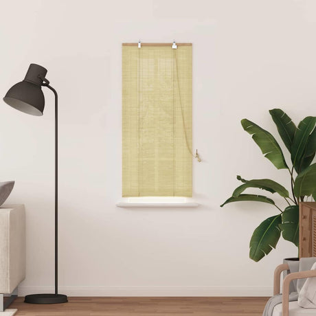 Vidaxl rolgordijn natuur 60 x 160 cm bamboe