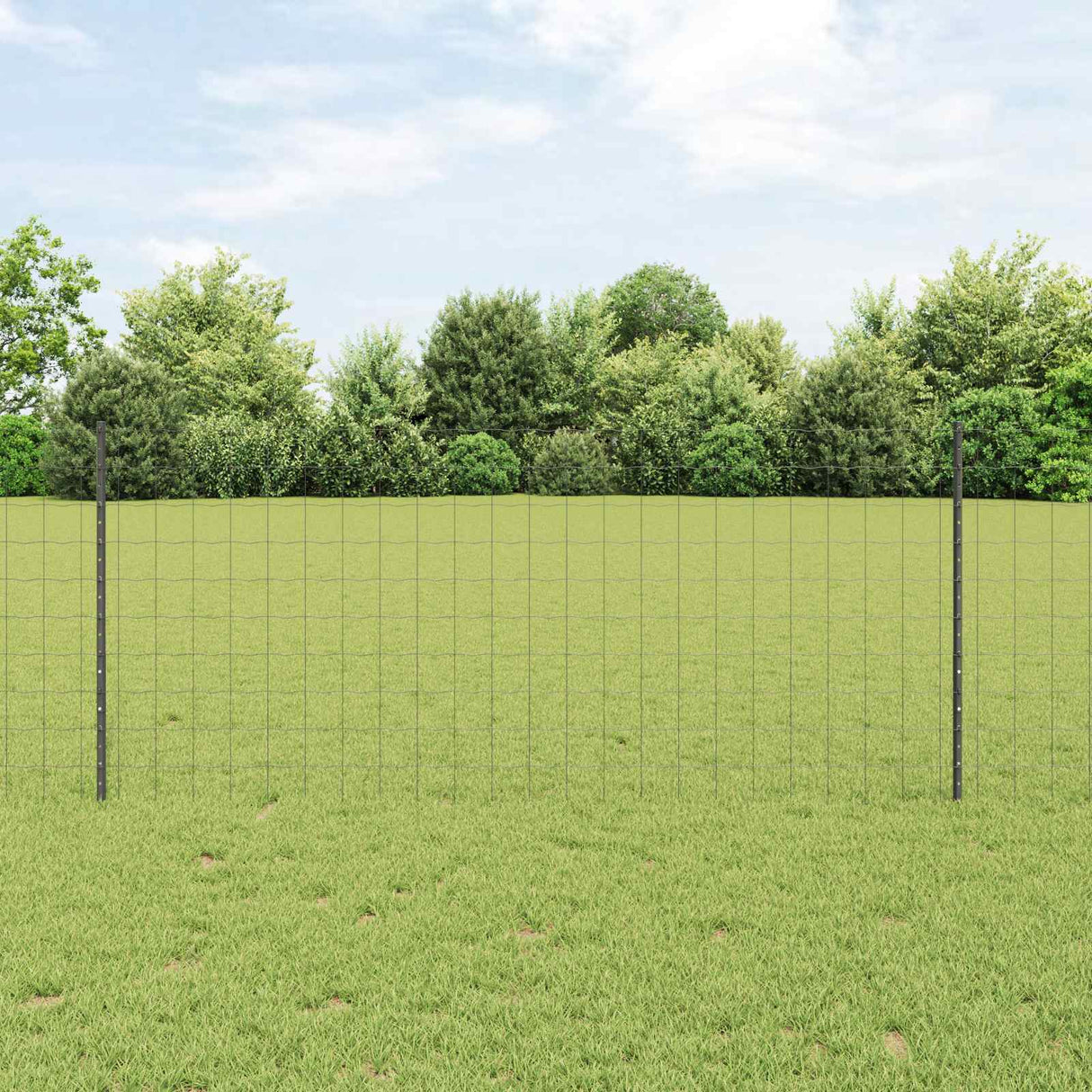 Vidaxl hek met paal grijs 1 x 10 m staal