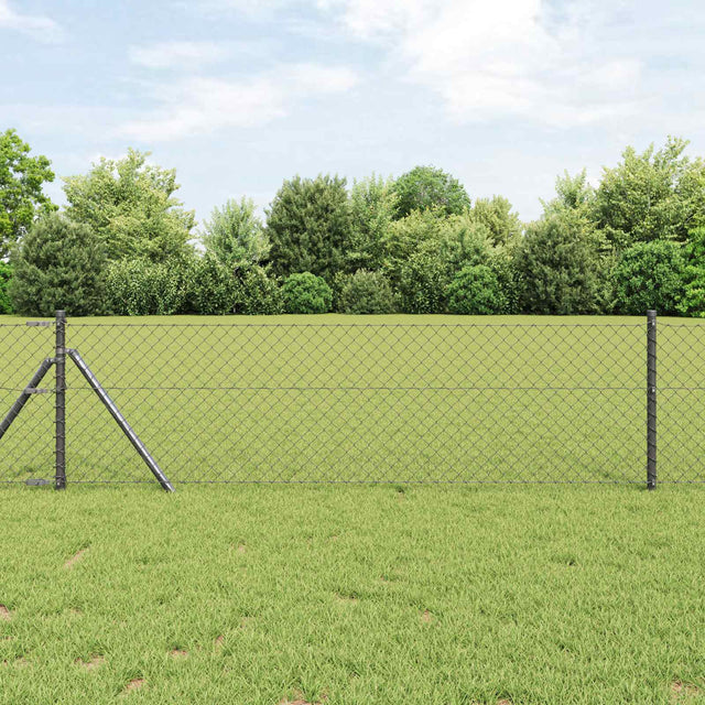 Vidaxl gaashek 10 x 0,6 m staal grijs