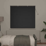 Vidaxl venetiaanse jaloezieën zwart 130 x 145 cm aluminium