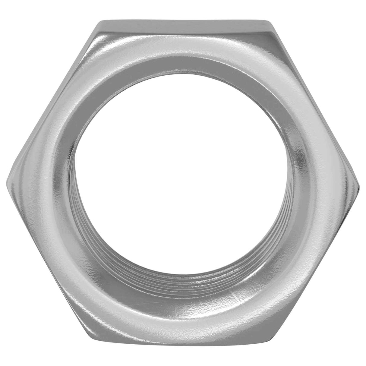 Vidaxl zeshoekige moeren 12 pcs zilver m6 ijzer