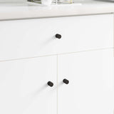 Vidaxl kastknoppen 2 pcs zwart m4 x 12 mm ijzer