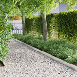 Vidaxl gras rand 1000 x 15 x 0,03 cm gegalvaniseerd staal zilver