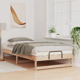 Vidaxl bedframe bruin 100 x 200 cm massief grenenhout