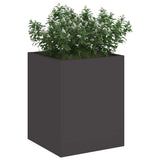 Vidaxl tuin bloempot zwart 32 x 32 x 40 cm koudgewalst staal