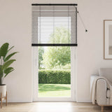 Vidaxl venetiaanse jaloezie zwart 70 x 250 cm 35 mm