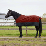 Vidaxl paardendeken donkergroen en zwart 135 cm polyester