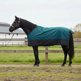 Vidaxl paardendeken donkergroen en zwart 115 cm polyester