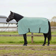 Vidaxl paardendeken speciale groen 95 cm polyester fleece