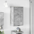 Vidaxl badkamer kast beton grijs 39 x 23,5 x 65 cm