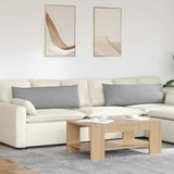 Vidaxl sofa kussens 2 pcs wolkengrijs 120 x 40 cm stof