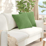 Vidaxl sofa kussens 2 stuks lichtgroen 50 x 50 cm cordstof