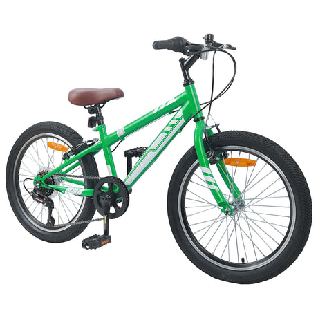 Vidaxl mountainbike 20 inch 6-snelheid voor 5-8 jaar oud groen