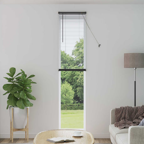 Vidaxl venetiaanse jaloezie zilvergrijs 213 x 60 cm 25 mm pvc