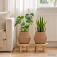 Vidaxl plantenpot met handvatten 2 st naturel ø 22 x 20 cm
