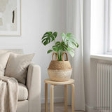 Vidaxl plantenpot met handvatten wit ø 22 x 20 cm 100% zeegras