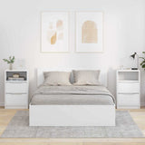 Vidaxl nachtkastjes 2 st wit 40 x 30 x 67 cm bewerkt hout