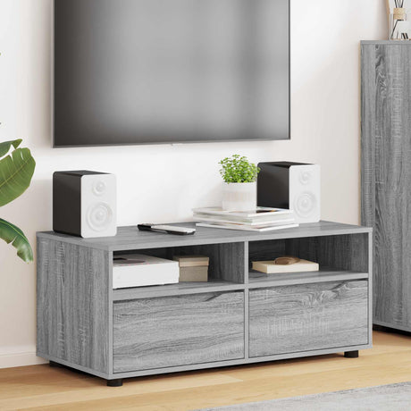 Vidaxl tv-kast 100 x 48 x 43 cm grijs sonoma bewerkt hout