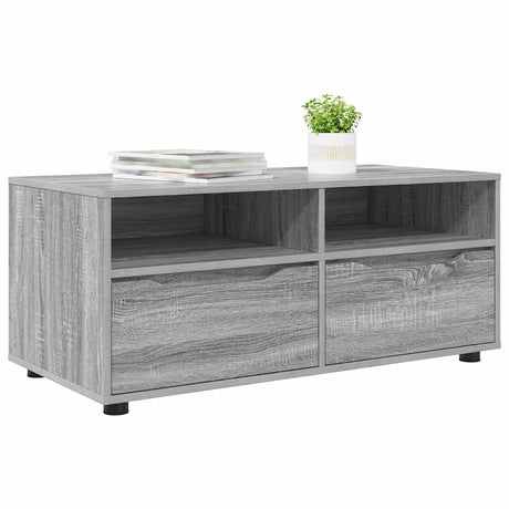 Vidaxl tv-kast 100 x 48 x 43 cm grijs sonoma bewerkt hout
