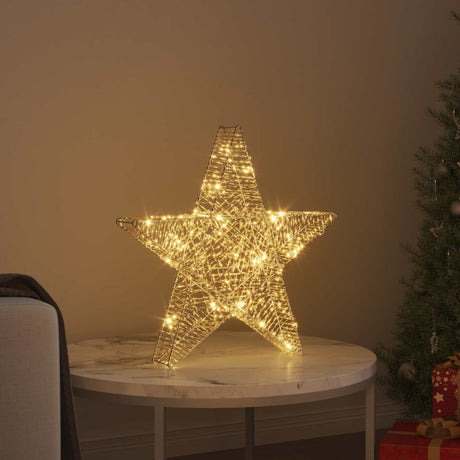 Vidaxl 3d ster 50 led's warmwit 55 x 52.5 x 9 cm pet