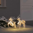 Vidaxl led rendieren 2 st 40 led's warmwit 44 x 18 x 65,5 cm pet