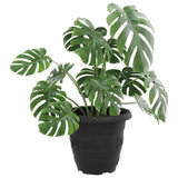 Vidaxl ronde bloempot 6 st zwart ø 26 x 21.5 cm kunststof