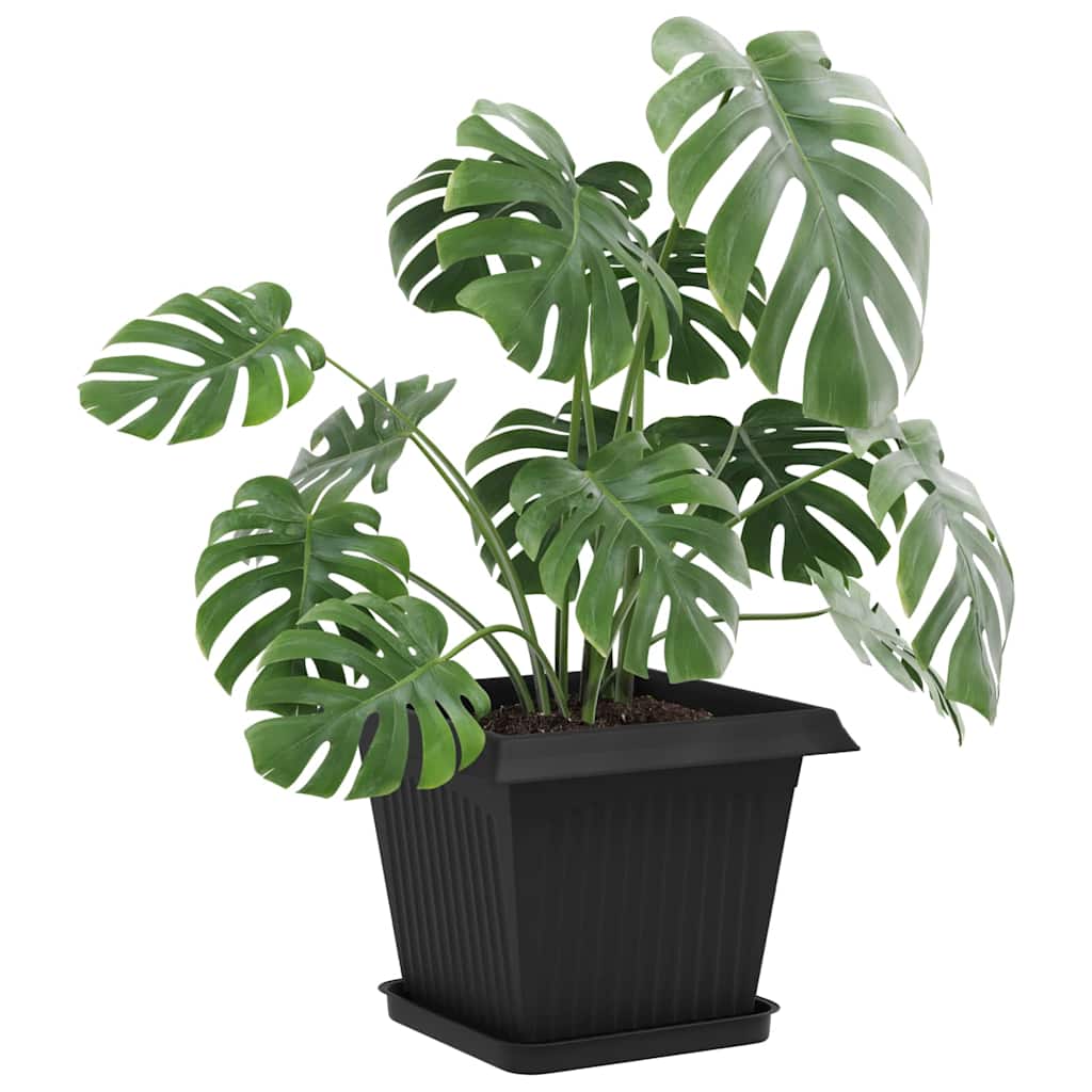 Vidaxl vierkante bloemenschotel 6 st zwart 25,5 x 25,5 x 2,5 cm