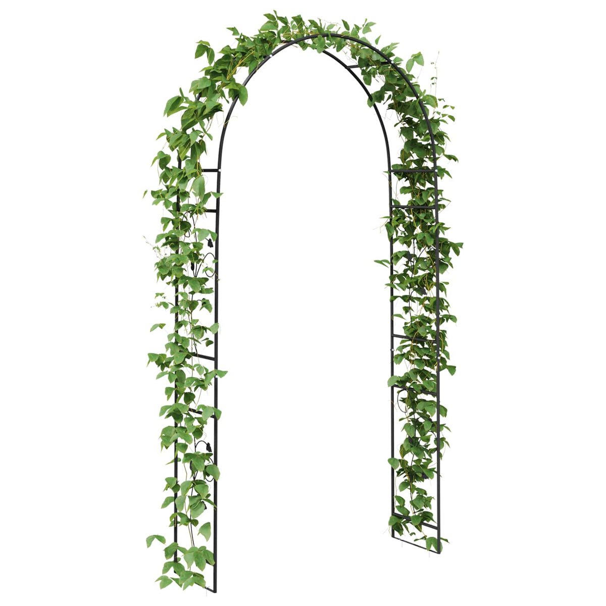Vidaxl tuin boog zwart 115 x 37 x 231 cm