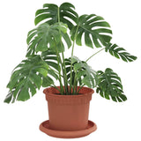 Vidaxl plantenpotten 6 st baksteenrood kunststof