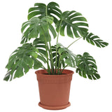 Vidaxl plantenpotten 6 st baksteenrood kunststof