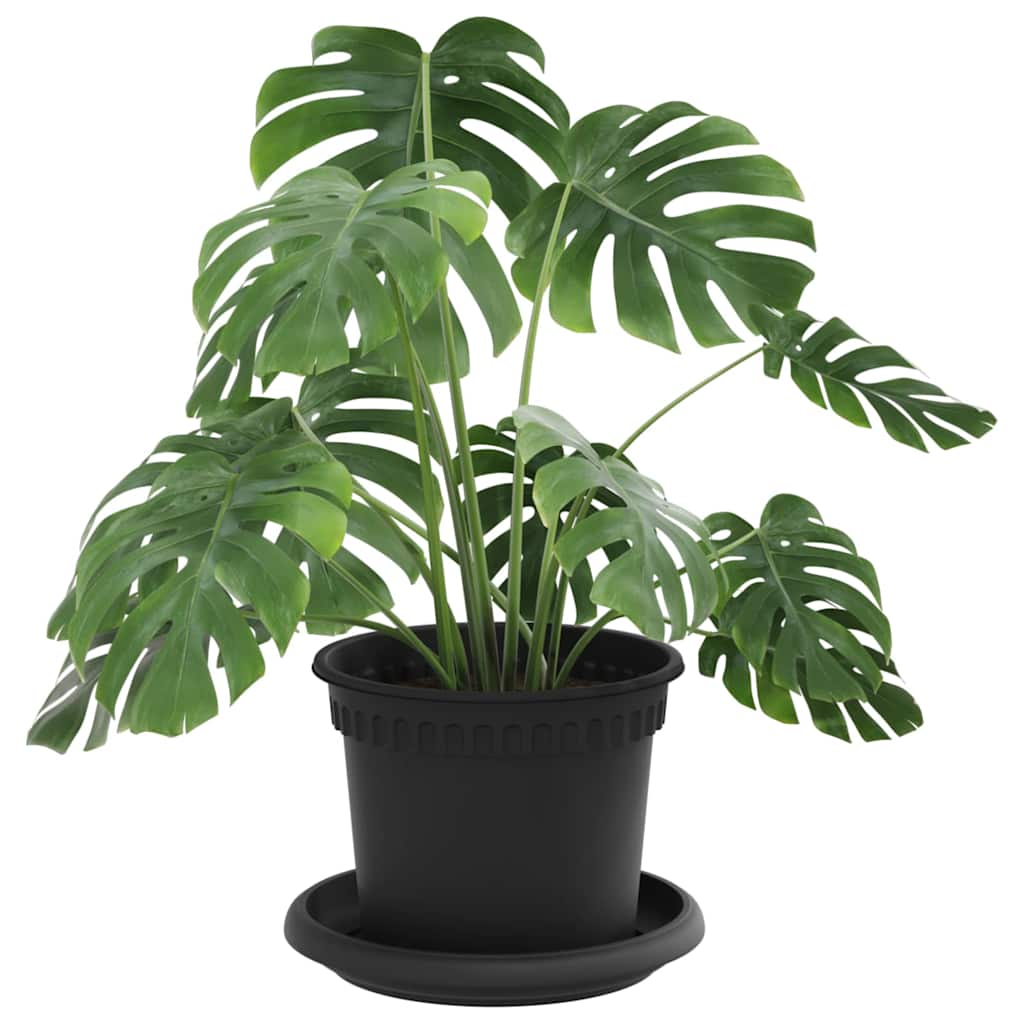 Vidaxl plantenpotten 6 st zwart kunststof