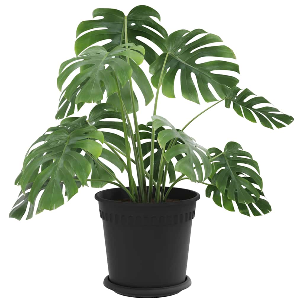 Vidaxl plantenpotten 6 st zwart kunststof