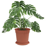 Vidaxl plantenpotten 24 st baksteenrood kunststof