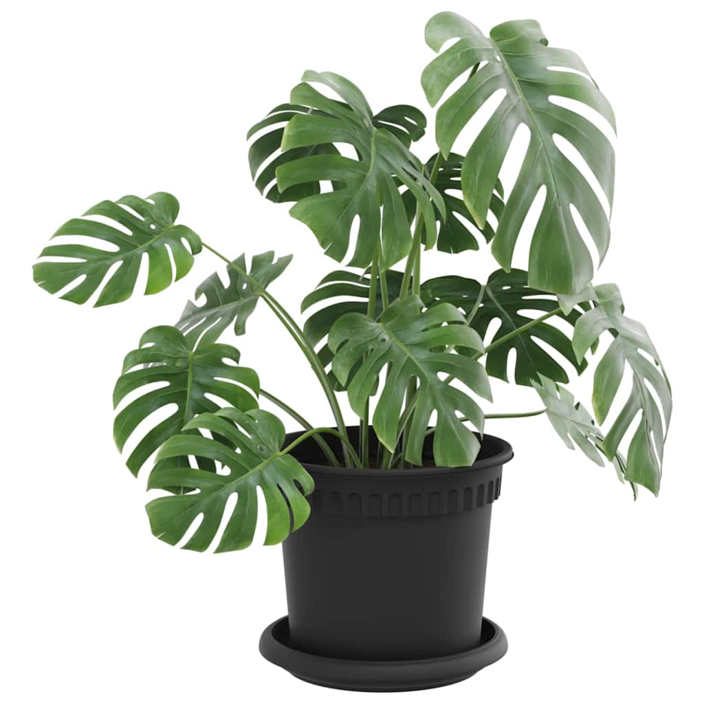 Vidaxl plantenpotten 24 st zwart kunststof