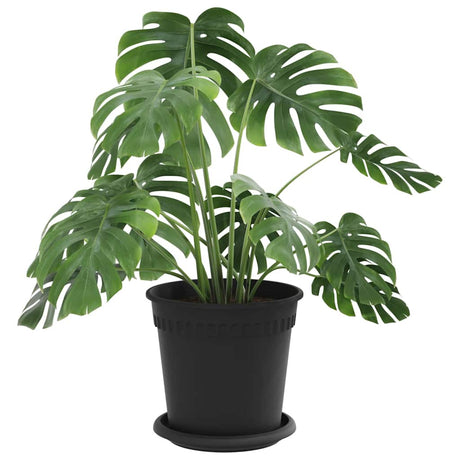 Vidaxl plantenpotten 24 st zwart kunststof