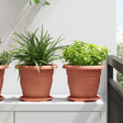 Vidaxl plantenpotten 24 st baksteenrood ø 22 x 18 cm kunststof