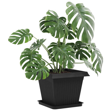 Vidaxl plantenpotten 6 st zwart kunststof
