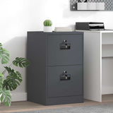 Vidaxl bestandenkast antraciet 45,5 x 42 x 74,5 cm koudgewalst staal