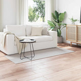 Vidaxl binnen kleed lugo crème en grijs 80 x 150 cm polyester