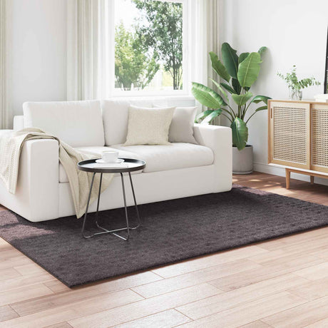 Vidaxl binnen kleed sirolo antraciet 120 x 170 cm polyester