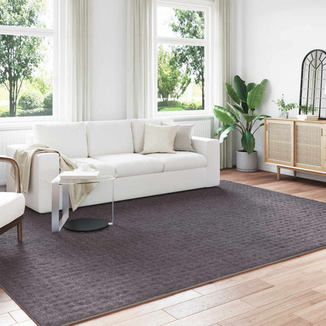 Vidaxl binnen kleed sirolo antraciet 200 x 280 cm polyester