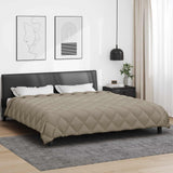 Vidaxl winter dekbed 240 x 260 cm 450 gsm microfiber (100% polyester)