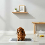 Vidaxl niet-geweven stof huisdier trainingspad 400 st 60 x 60 cm