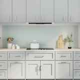 Vidaxl keukenachterwand 2 st wit 100 x 60 cm gehard glas