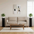 Vidaxl plantenstandaard 2 st zwart eiken 25 x 25,5 x 80,5 cm