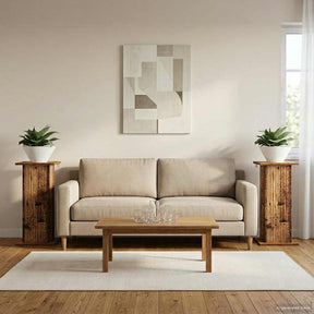 Vidaxl plantenstandaard 2 st oud hout 30,5 x 30 x 60,5 cm bewerkt hout