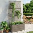 Vidaxl tuindruppel met trellis grijs 70 x 30 x 135 cm poly rattan