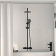 Vidaxl thermostatisch douchesysteem set zwart 27 x 46 x 123 cm rvs 201